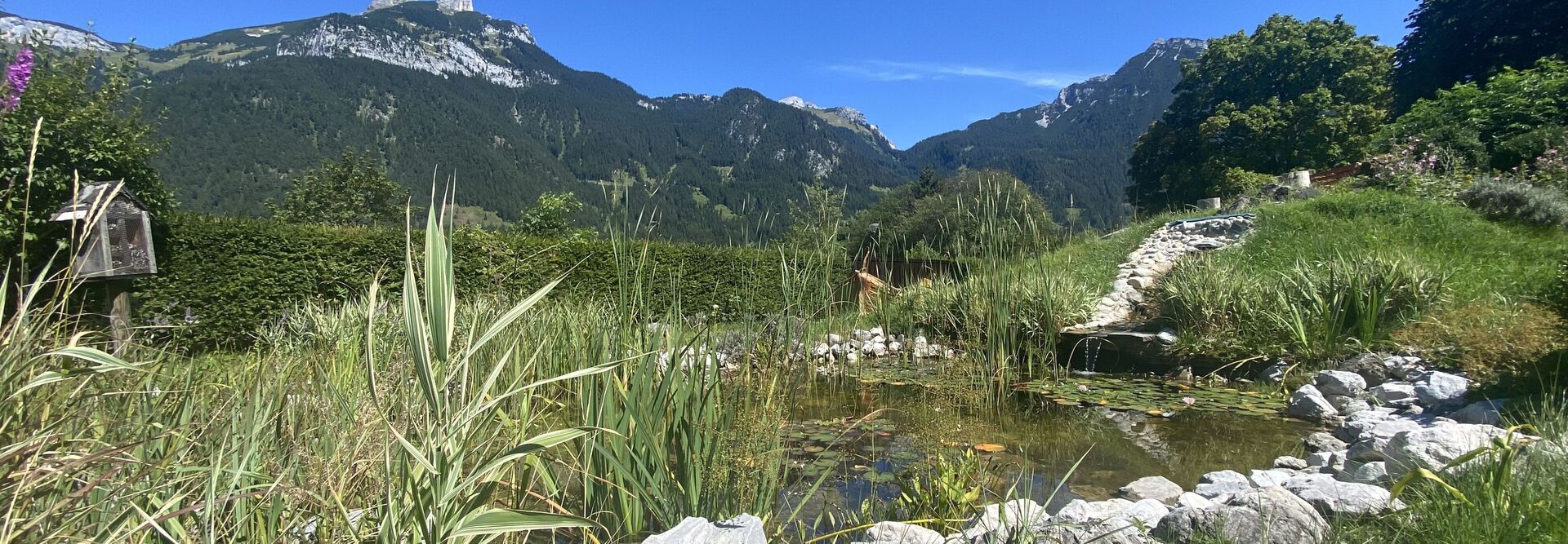 Teich im Garten