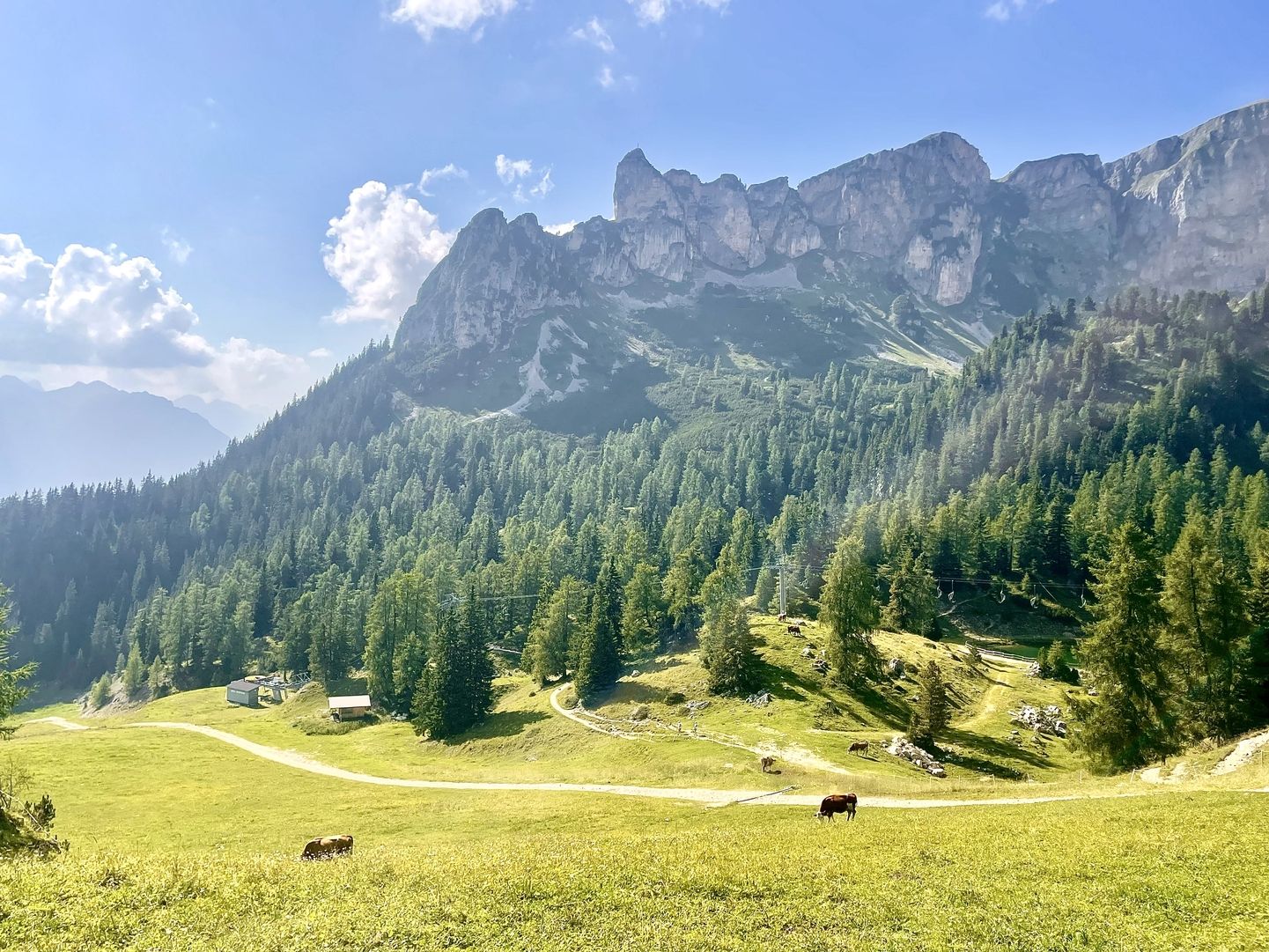 Blick auf die Berge und Wiesen
